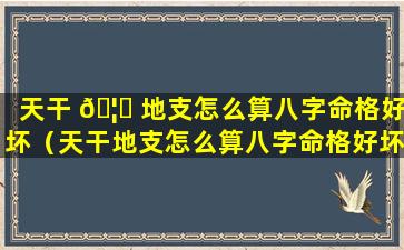 天干 🦄 地支怎么算八字命格好坏（天干地支怎么算八字命格好坏呢）